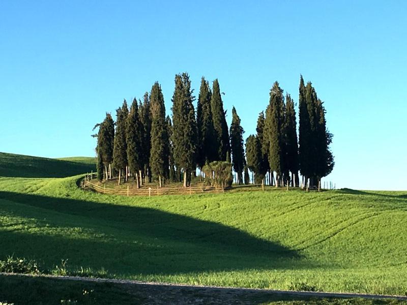Camera La Margherita San Quirico dʼOrcia Extérieur photo